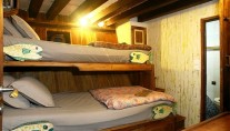 Tiger Blue - bunk bed room, en suite, AC